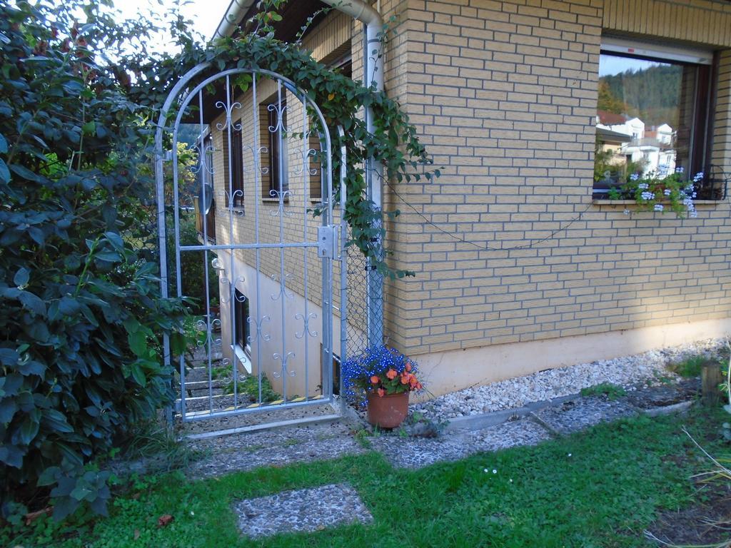 Non Smoking Traudel Engelken Neckargemünd Exterior foto